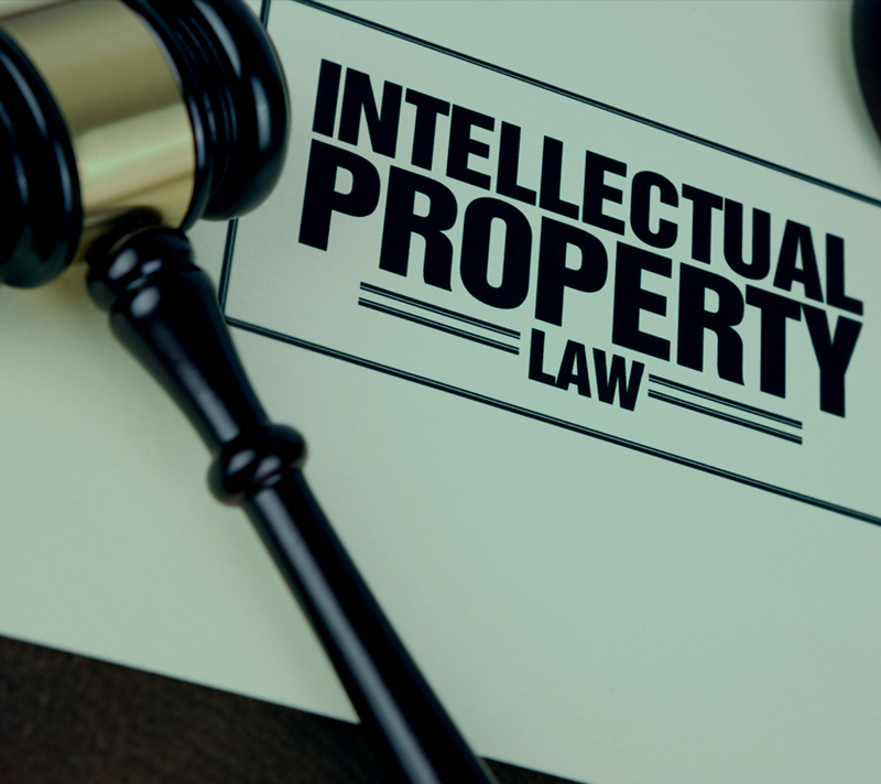 Intellectual Property Rights (IPR)